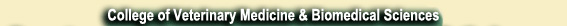 College of Veterinary Medicine and Biomedical Sciences link