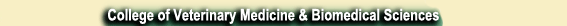 College of Veterinary Medicine and Biomedical Sciences link